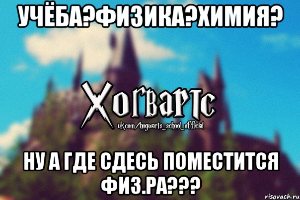 Учёба?Физика?Химия? НУ а где сдесь поместится физ.ра???, Мем Хогвартс