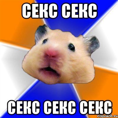 Секс секс Секс секс секс, Мем Хомяк