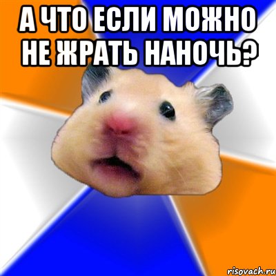 А что если можно не жрать наночь? , Мем Хомяк