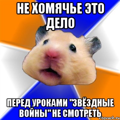 Не хомячье это дело Перед уроками "Звёздные войны" не смотреть, Мем Хомяк