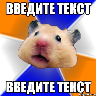 введите текст введите текст, Мем Хомяк