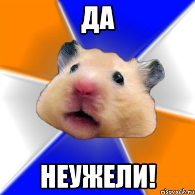 Да Неужели!, Мем Хомяк