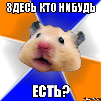 ЗДЕСЬ КТО НИБУДЬ ЕСТЬ?, Мем Хомяк