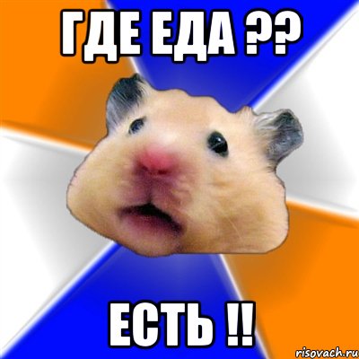 Где Еда ?? Есть !!, Мем Хомяк