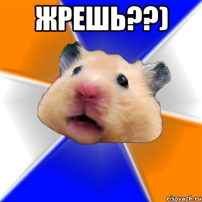 Жрешь??) , Мем Хомяк