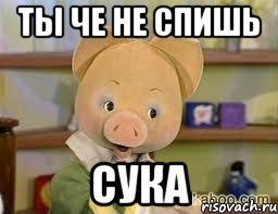 ТЫ ЧЕ НЕ СПИШЬ СУКА, Мем Хрюша