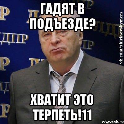 ГАДЯТ В ПОДЪЕЗДЕ? ХВАТИТ ЭТО ТЕРПЕТЬ!11, Мем Хватит это терпеть (Жириновский)