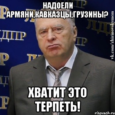 Надоели армяни,кавказцы,грузины? Хватит это терпеть!, Мем Хватит это терпеть (Жириновский)