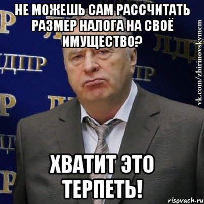 Не можешь сам рассчитать размер налога на своё имущество? Хватит это терпеть!, Мем Хватит это терпеть (Жириновский)