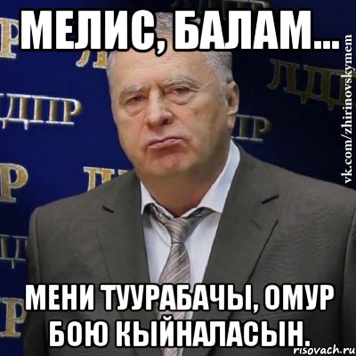 Мелис, балам... мени туурабачы, омур бою кыйналасын., Мем Хватит это терпеть (Жириновский)