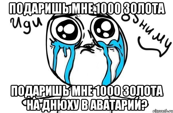 Подаришь мне 1000 золота Подаришь мне 1000 золота на днюху в аватарии?, Мем Иди обниму