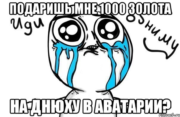 Подаришь мне 1000 золота На днюху в аватарии?, Мем Иди обниму