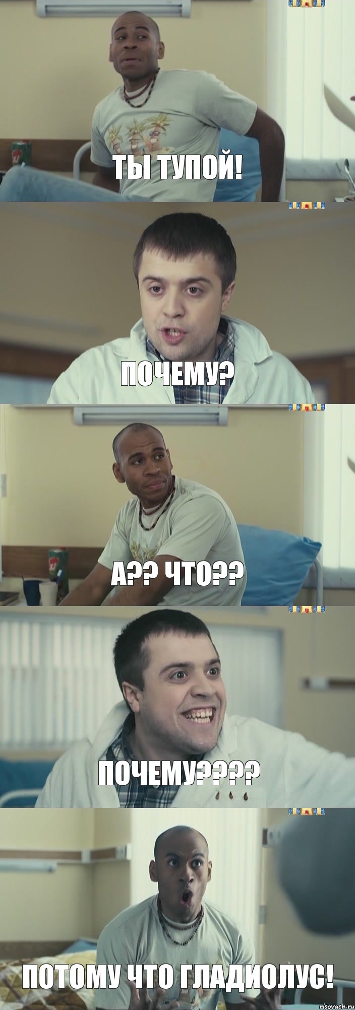 Ты тупой! Почему? А?? Что?? Почему???? Потому что гладиолус!