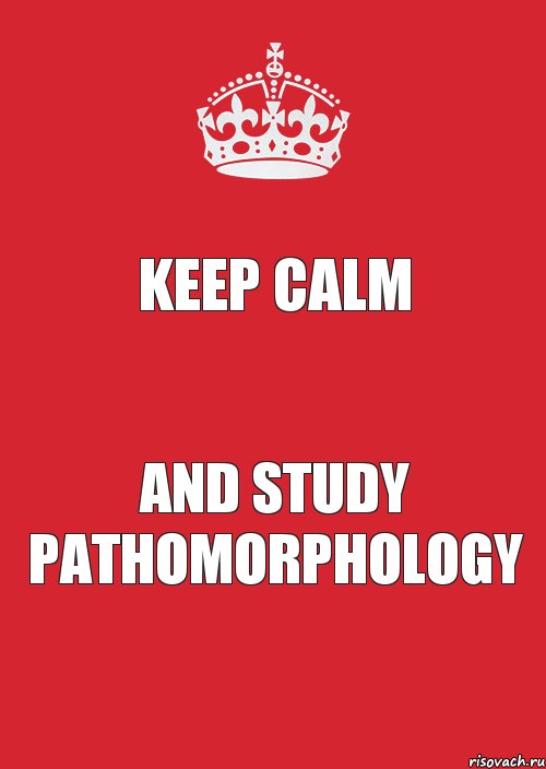 KEEP CALM and STUDY PATHOMORPHOLOGY, Комикс Keep Calm 3