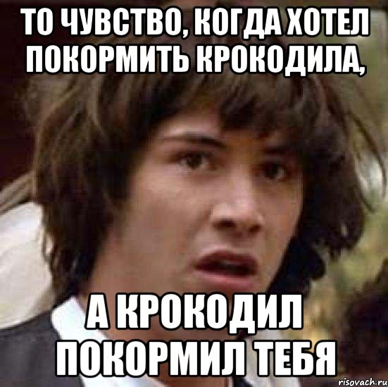 То чувство, когда хотел покормить крокодила, а крокодил покормил тебя, Мем А что если (Киану Ривз)