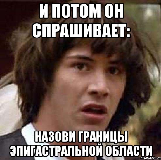 И потом он спрашивает: Назови границы эпигастральной области, Мем А что если (Киану Ривз)