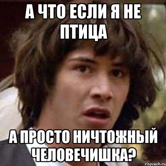 А что если я не птица а просто ничтожный человечишка?, Мем А что если (Киану Ривз)