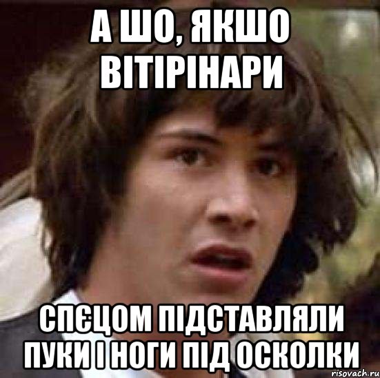 а шо, якшо вітірінари спєцом підставляли пуки і ноги під осколки, Мем А что если (Киану Ривз)