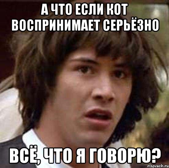 А что если кот воспринимает серьёзно всё, что я говорю?, Мем А что если (Киану Ривз)