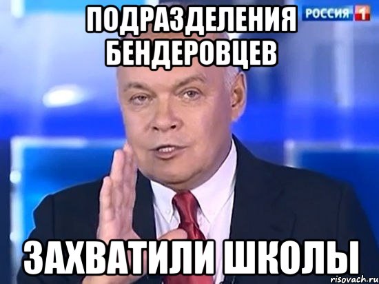 Подразделения бЕндеровцев захватили школы, Мем Киселёв 2014