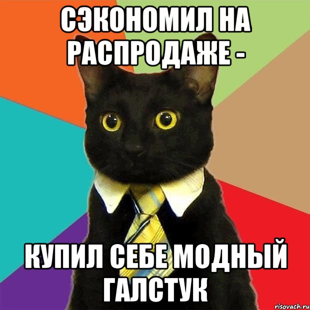 СЭКОНОМИЛ НА РАСПРОДАЖЕ - КУПИЛ СЕБЕ МОДНЫЙ ГАЛСТУК, Мем  Кошечка