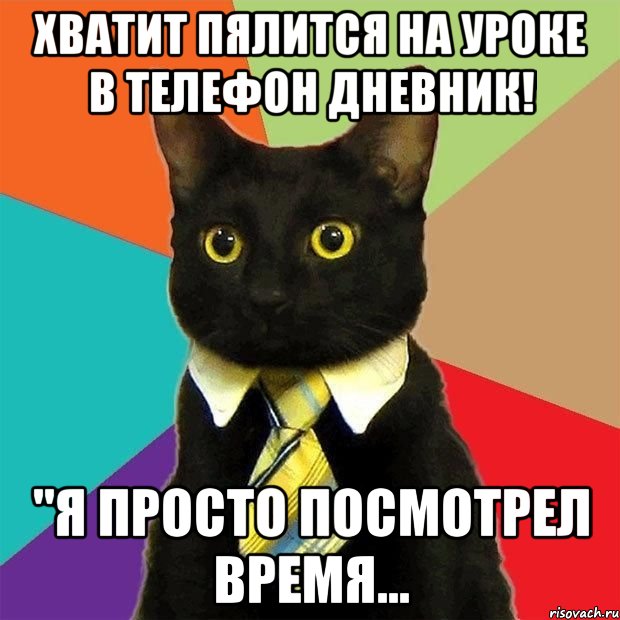 Хватит пялится на уроке в телефон Дневник! "Я просто посмотрел время..., Мем  Кошечка