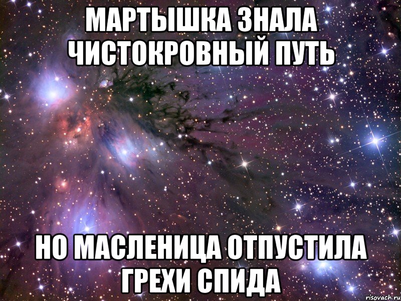 Мартышка знала чистокровный путь но масленица отпустила грехи СПИДа, Мем Космос