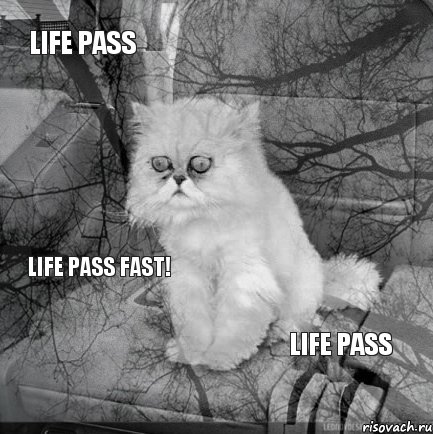 Life pass   Life pass Life pass fast!, Комикс  кот безысходность