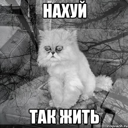 Нахуй так жить, Комикс  кот безысходность