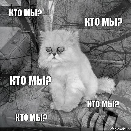 Кто мы? Кто мы? Кто мы? Кто мы? Кто мы?, Комикс  кот безысходность