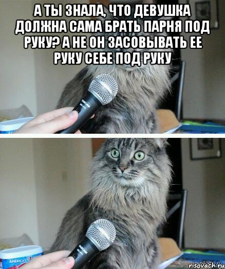 а ты знала, что девушка должна сама брать парня под руку? а не он засовывать ее руку себе под руку , Комикс  кот с микрофоном