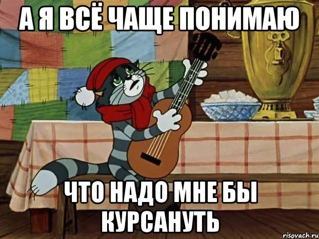 А Я ВСЁ ЧАЩЕ ПОНИМАЮ ЧТО НАДО МНЕ БЫ КУРСАНУТЬ, Мем Кот Матроскин с гитарой