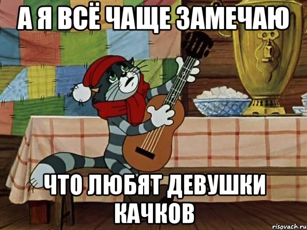 А я всё чаще замечаю Что любят девушки качков, Мем Кот Матроскин с гитарой