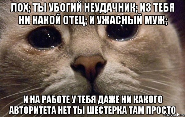 Лох; Ты убогий неудачник; Из тебя ни какой отец; И ужасный муж; И на работе у тебя даже ни какого авторитета нет ты шестерка там просто, Мем   В мире грустит один котик