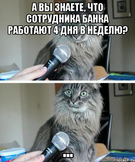 А ВЫ ЗНАЕТЕ, ЧТО СОТРУДНИКА БАНКА РАБОТАЮТ 4 ДНЯ В НЕДЕЛЮ? ..., Комикс  кот с микрофоном