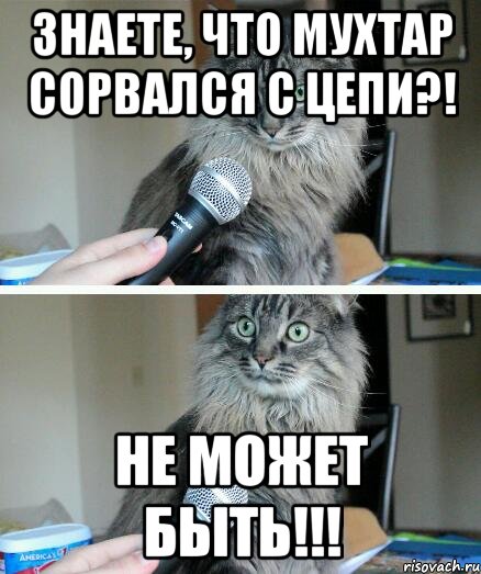 знаете, что мухтар сорвался с цепи?! не может быть!!!, Комикс  кот с микрофоном