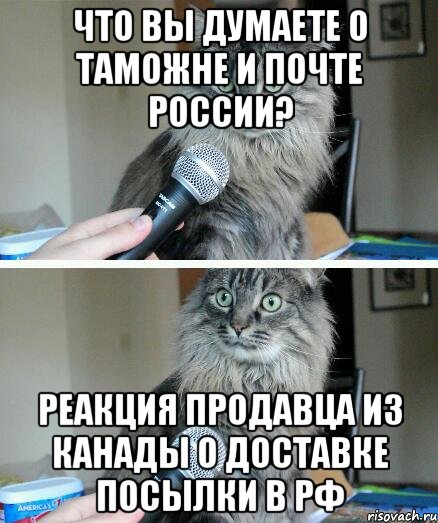 Что вы думаете о таможне и почте России? реакция продавца из Канады о доставке посылки в РФ, Комикс  кот с микрофоном