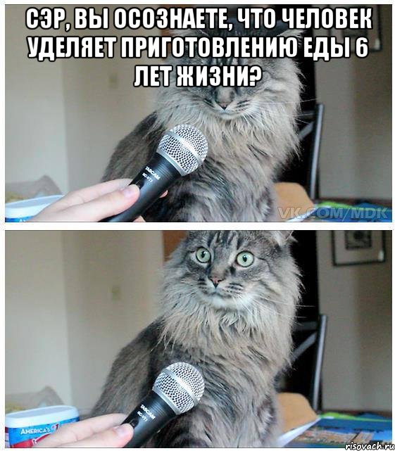 Сэр, Вы осознаете, что человек уделяет приготовлению еды 6 лет жизни? , Комикс  кот с микрофоном