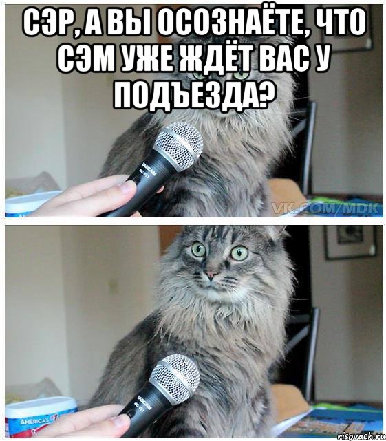 Сэр, а вы осознаёте, что Сэм уже ждёт вас у подъезда? , Комикс  кот с микрофоном