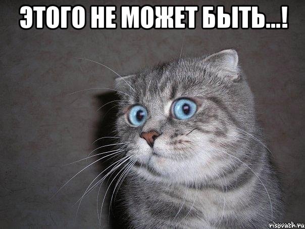 этого не может быть...! , Мем  удивлённый кот