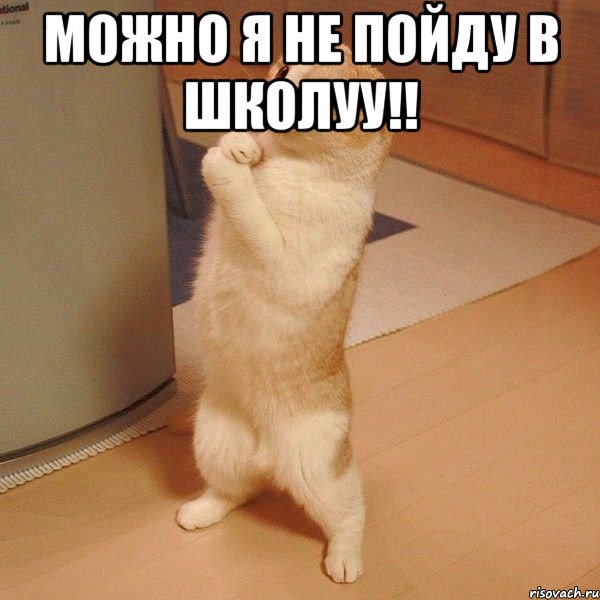 можно я не пойду в школуу!! , Мем  котэ молится