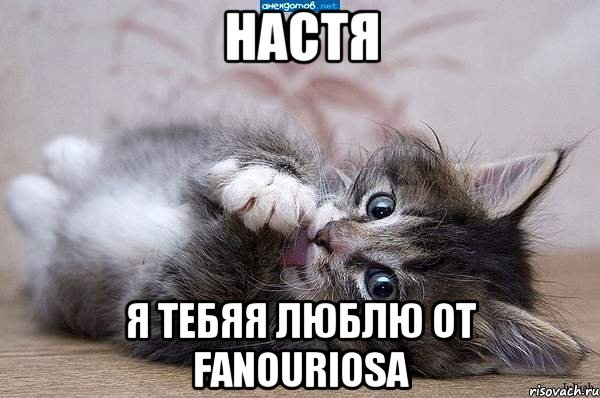 настя я тебяя люблю от Fanouriosa