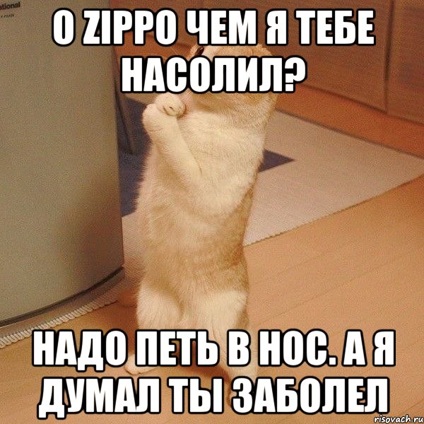 о Zippo чем я тебе насолил? надо петь в нос. А я думал ты заболел, Мем  котэ молится