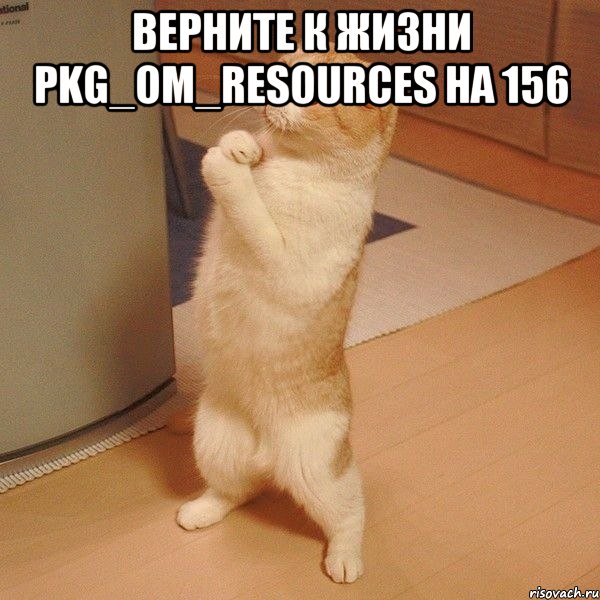 Верните к жизни PKG_OM_RESOURCES на 156 , Мем  котэ молится