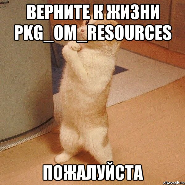 Верните к жизни PKG_OM_RESOURCES пожалуйста, Мем  котэ молится