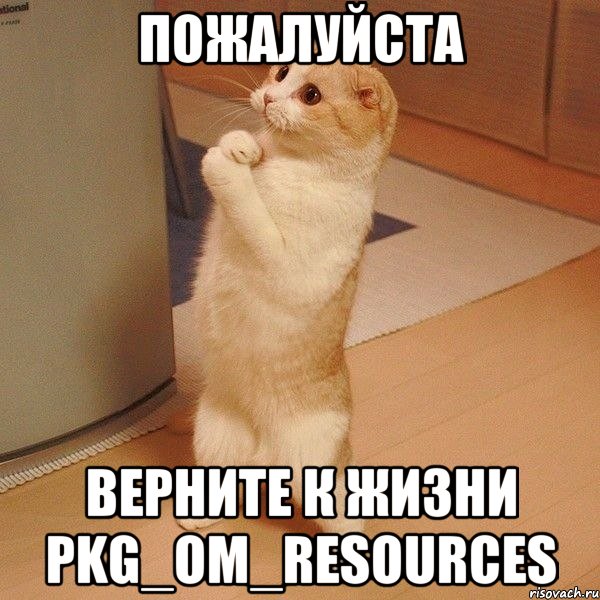 пожалуйста верните к жизни PKG_OM_RESOURCES, Мем  котэ молится