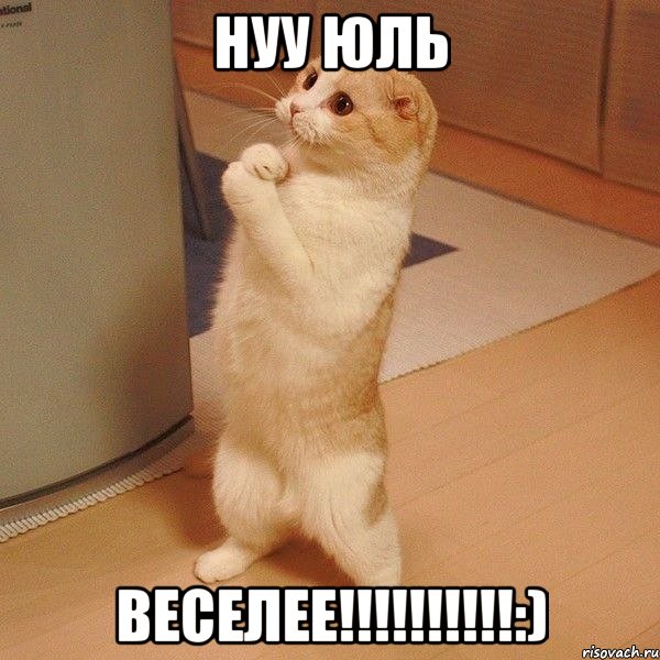 Нуу Юль Веселее!!!!!!!!!!:), Мем  котэ молится