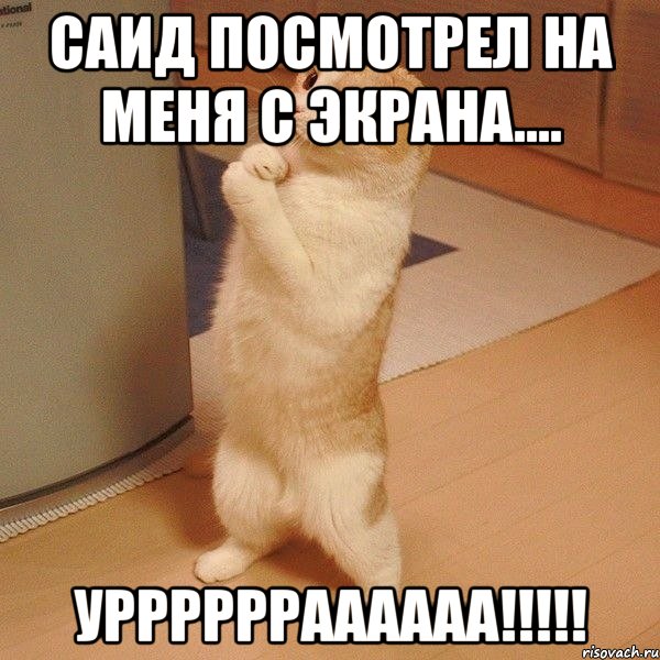 Саид посмотрел на меня с экрана.... Урррррраааааа!!!!!, Мем  котэ молится