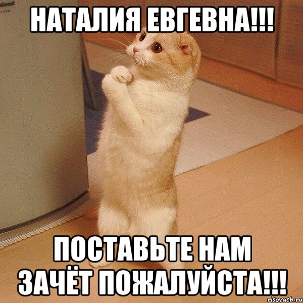 Наталия Евгевна!!! Поставьте нам зачёт пожалуйста!!!, Мем  котэ молится