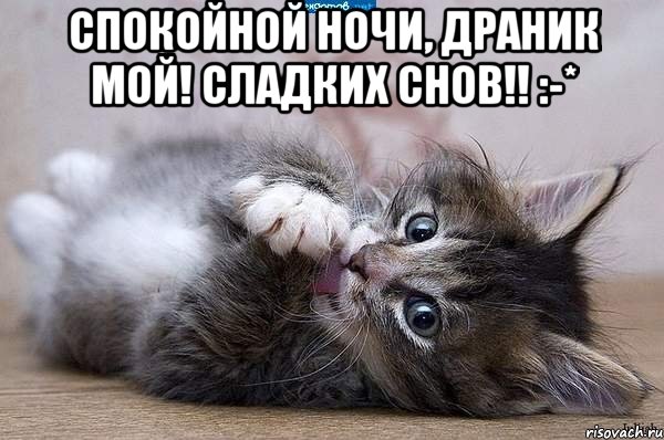 спокойной ночи, драник мой! Сладких снов!! :-* , Мем  котенок